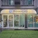 블루밍 펫 살롱 이미지