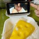 e-동물 메디컬 센터 이미지