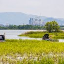 지곡초교 삼거리 이미지