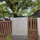 군자성황사지 이미지