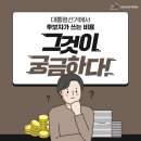 선관위 소나무 이미지