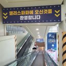 포항 앨리스파파 방학 평일 후기
