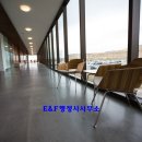 비자로 행정사사무소 이미지