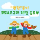 명학농장 네이버블로그