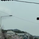 오즈산부인과 | [BABY👶] 5번째 준비🩺_김해장유오즈산부인과 배란초음파 후기,비용