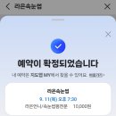 라은속눈썹