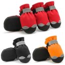 하이펫츠 이미지