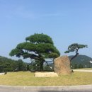 동원화원 - 수원시 장안구 경수대로976번길 22 | 동원화원