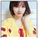 샤프롱헤어 | 단발병 유발자 출동! 모음집 및 퇴치짤