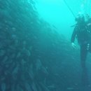 세기산업 이미지