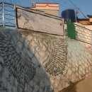 산양일주도로가로수 이미지