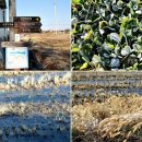 자산2리마을회관 이미지