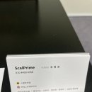 스칼프라임SMP