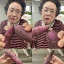 맛있담 네이버블로그