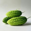 여주-1052 이미지