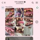 더에스동물병원 네이버블로그