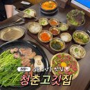 김포 운양동 맛집 청춘고깃집 김포운양점 목살 육회 후기