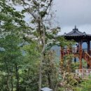 밸런스본의원 이미지