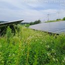 무성햇빛발전소 이미지