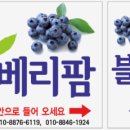 보은농장 이미지