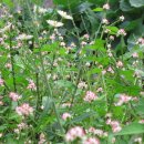 은아농장 이미지