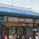 엘리스워터 | 여름서울랜드크라켄아일랜드 워터워즈 준비물 주차창꿀팁