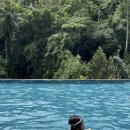 뷰티정글하우스 | 우붓의 첫 시작, 웨스틴 리조트 The Westin Resort Ubud