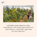 안줄농장 이미지