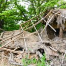 초가마루 이미지