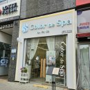 65 | 컬러드스파 군포송부점, 소울두피스파 후기