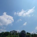 (주)다조인 네이버블로그