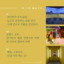 다빈치 감성미술 이미지