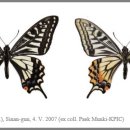 나비농장2 이미지