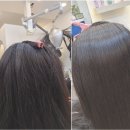솔빈헤어샵