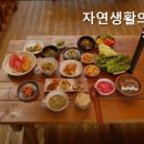 자연생활의집청도