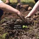 삼달다방 이미지