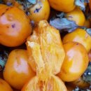 백운농장 이미지