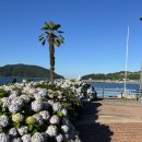 이순신공원(중간) 이미지