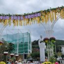 제387차 둘레길"유엔평화공원 국화축제"(날짜변경) 이미지