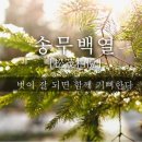 송백 티스토리