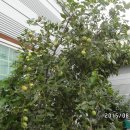 나름이식당 이미지