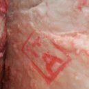 이종섭 농장 이미지