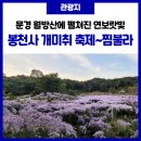 찜불라 - 구미시 | 찜불라