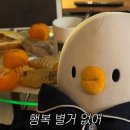 더오리 이미지