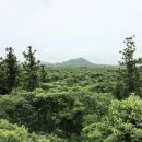 제주 올레길 14-1코스 이미지