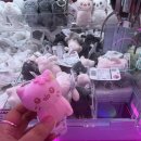토피아인형뽑기 이미지