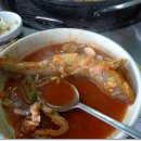 마시안해수욕장 Daum카페