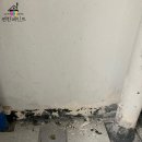 동아미장 네이버블로그