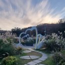 초막골 생태공원 이미지