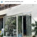 마음 | 광안리 플랜트샵 팟샵 분갈이 마음갈이 후기